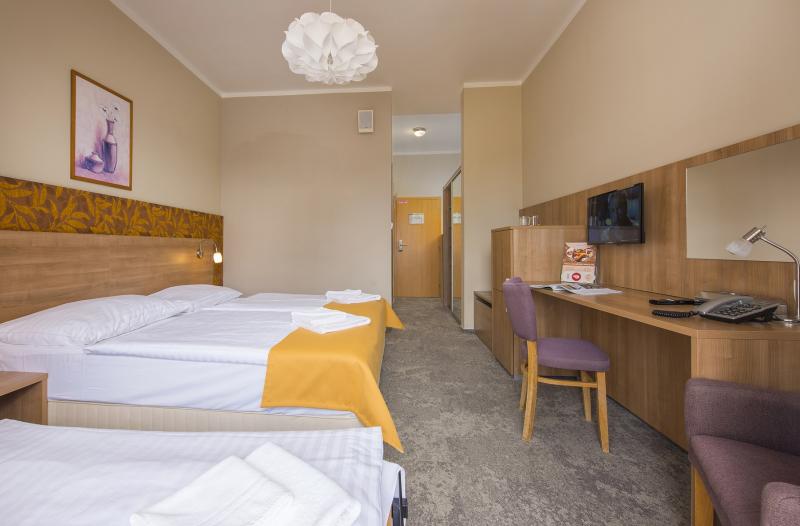 Izba Dvojlôžková izba s možnosťou prístelku v Hotel Aquatermal*** – prístelková izba